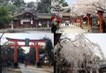 育った街-10／平野神社