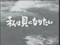 いつもと変わらない夏が来る、６５年目の夏
