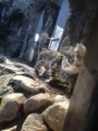久しぶりの動物園