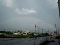 虹を見ました。