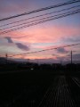 夕焼け。