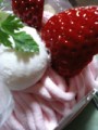 イチゴが好き☆