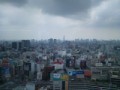 高み、そして未来へと・・・。