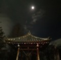 【お題日記】謹賀新年、今年のウラ的抱負をどうぞ