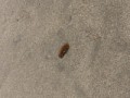 海って良いなぁ