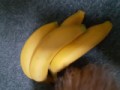 バナナの叩き！