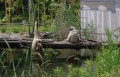「ときわ動物園」に行ってきた!!!