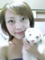 フェレットのモスちゃんｖｖ