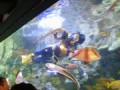 サンシャイン国際水族館