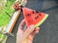 スイカ食べ放題
