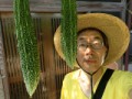 ゴーヤさん