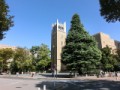 早稲田大学