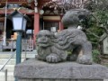 狛犬