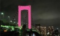 1夜限定　ピンクにライトアップ