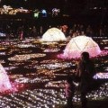 森のクリスマス　イルミネーション