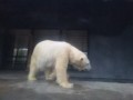 旭山動物園