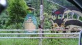 ト・トトロ？！