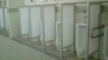 男子トイレは
