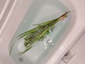こどもの日に菖蒲湯