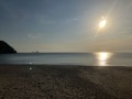夏