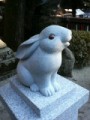 うさぎ神社・・・