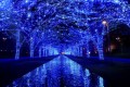 クリスチャンかい？