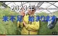 謹賀新年・2023年