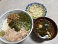 ねばとろ丼
