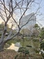 大掃除