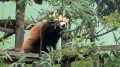 動物園