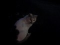 携帯にHな写真 あるよ♪
