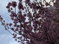 公園で撮った