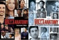 Grey' Anatomy