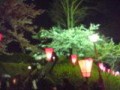 夜桜と言えば…